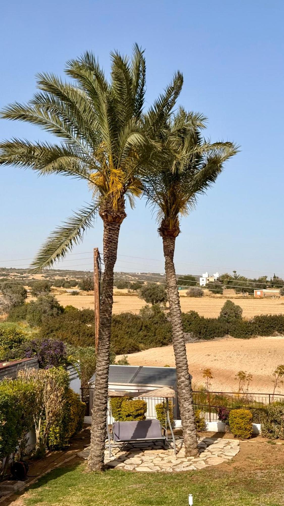 Villa Hera Agios Theodoros Dış mekan fotoğraf